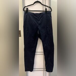 NWT Banana Republic Size 12 Devon Pants Women Legging Dress Ankle Blue